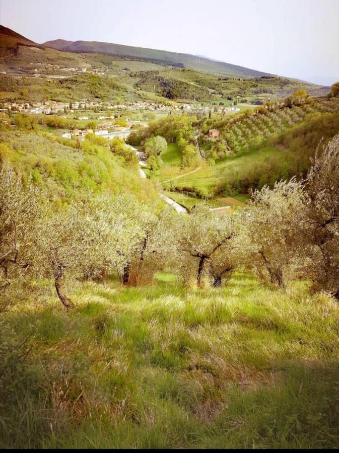 Umbria In Bike B&B Foligno Extérieur photo